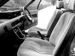 Rover V8-S 1979 года
